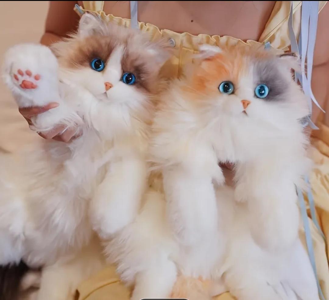 Super Realistic Plush CAT Backpack Travel Storage Stuffed Animals Cat School Bags Cute Cartoon Shopping Bag Animals Plush Bag